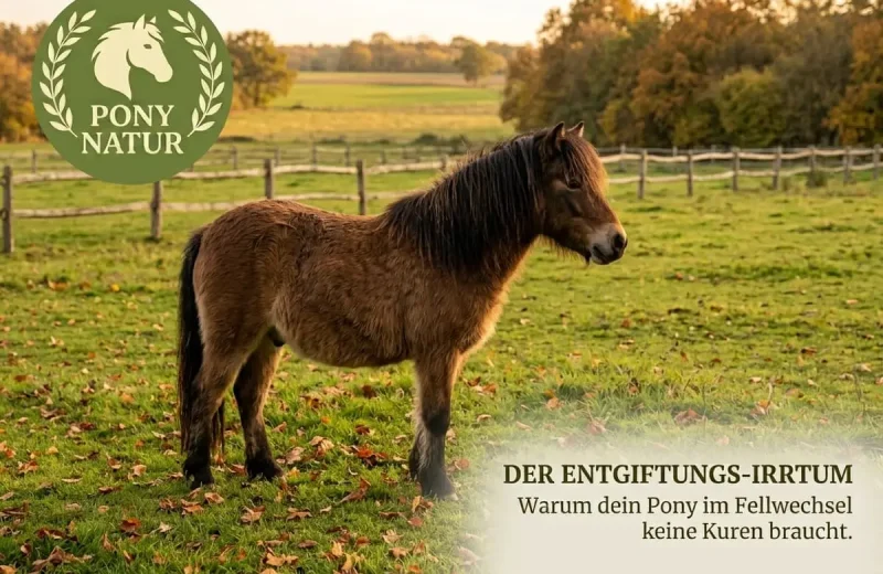 Braucht die Leber im Herbst Mariendistel und Kuren? Ein biologischer Faktencheck über Fellwechsel...